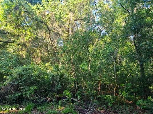 54 Fort Holmes Trl, Bald Head Island NC, 28461 land for sale