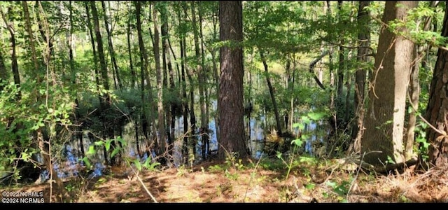 TBD Ella Sofia Ln, New Bern NC, 28562 land for sale