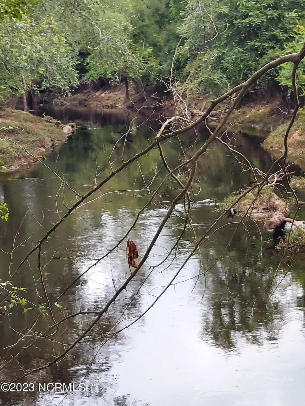 000 River Rd, Willard, NC 28478
