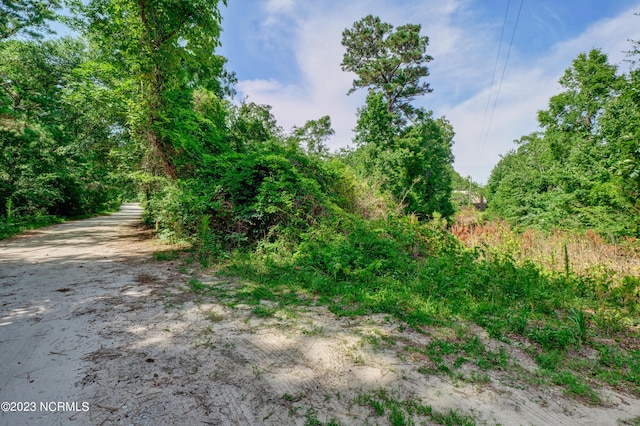 0 Riley Lewis Rd, Sneads Ferry NC, 28460 land for sale