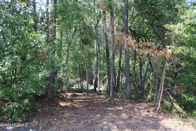 LOT2 Octavia Dr Unit 2, Dortches NC, 27804 land for sale