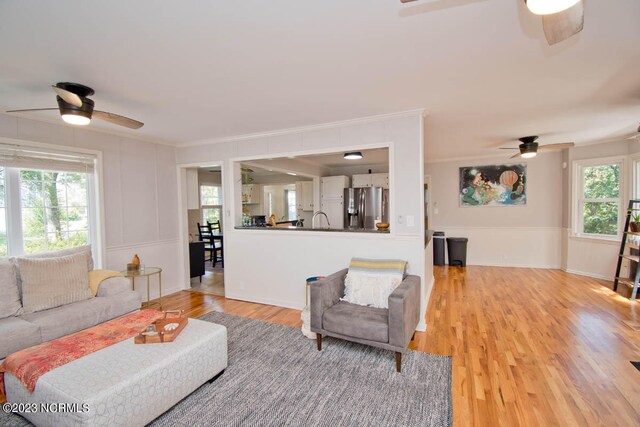 living room with ornamental molding, ceiling fan, a healthy amount of sunlight, and light wood-type flooring