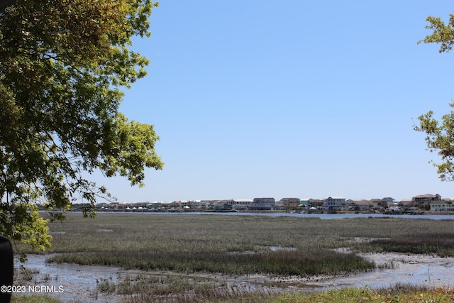 2090 Greenside Manor Dr Unit L-39, Ocean Isle Beach, NC 28469 - view of yard