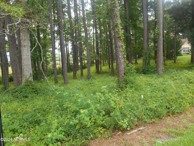 6491 Walden Pond Ln, Southport NC, 28461 land for sale