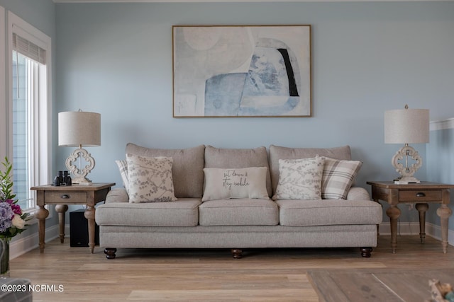 living room with light wood-type flooring