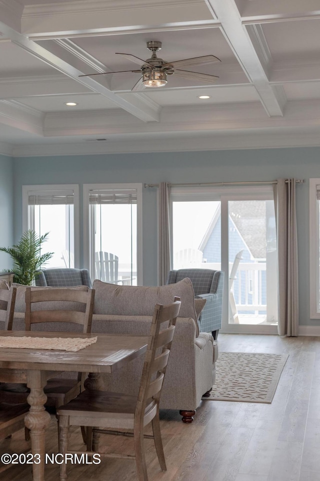 living room with coffered ceiling, ceiling fan, a healthy amount of sunlight, and light wood-type flooring