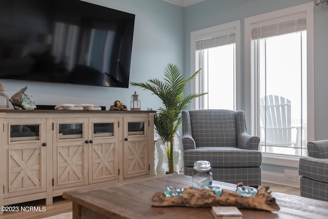 living room featuring light hardwood / wood-style flooring and a healthy amount of sunlight