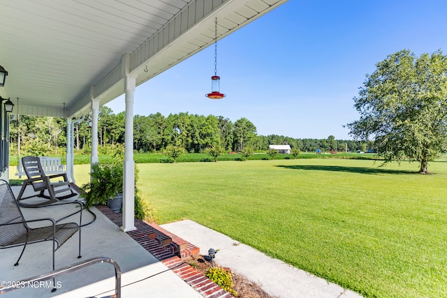 view of yard featuring a porch