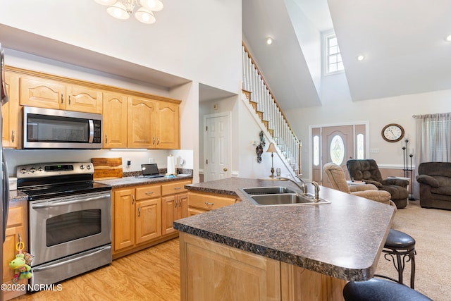 kitchen with a kitchen island with sink, light brown cabinetry, stainless steel appliances, and sink