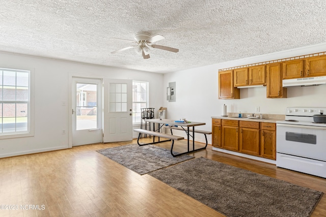 kitchen featuring white range with electric cooktop, ceiling fan, sink, and light wood-type flooring