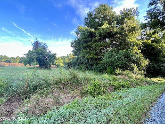 Listing photo 2 for TR1 Barbee Rd, Richlands NC 28574