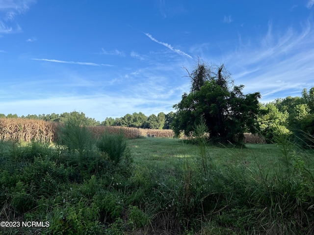 Listing photo 3 for TR1 Barbee Rd, Richlands NC 28574