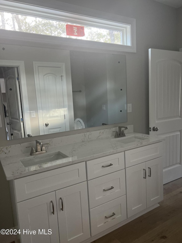 bathroom featuring vanity and wood-type flooring