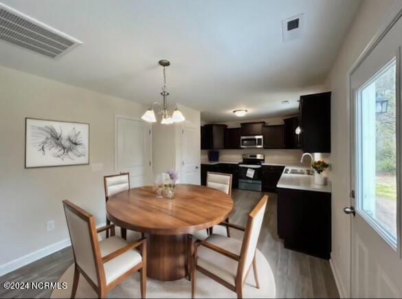 dining room with an inviting chandelier, wood-type flooring, and a wealth of natural light