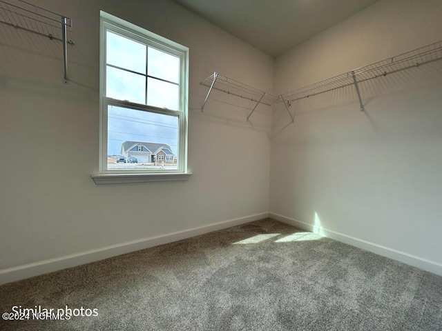 spacious closet featuring dark carpet