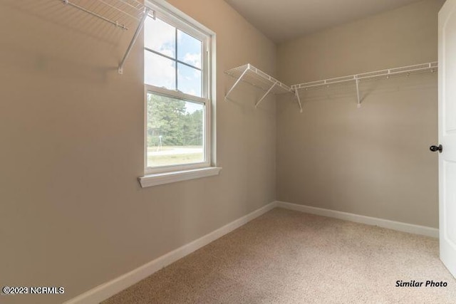 spacious closet with light colored carpet