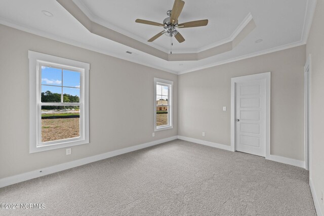 carpeted spare room featuring ceiling fan, a raised ceiling, and crown molding