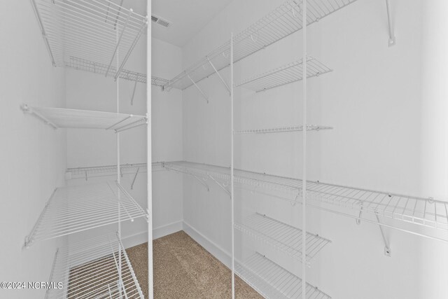 spacious closet with carpet flooring