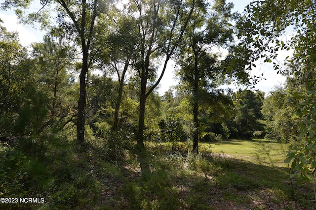 Listing photo 2 for 2.53AC Taft Rd SW, Supply NC 28462