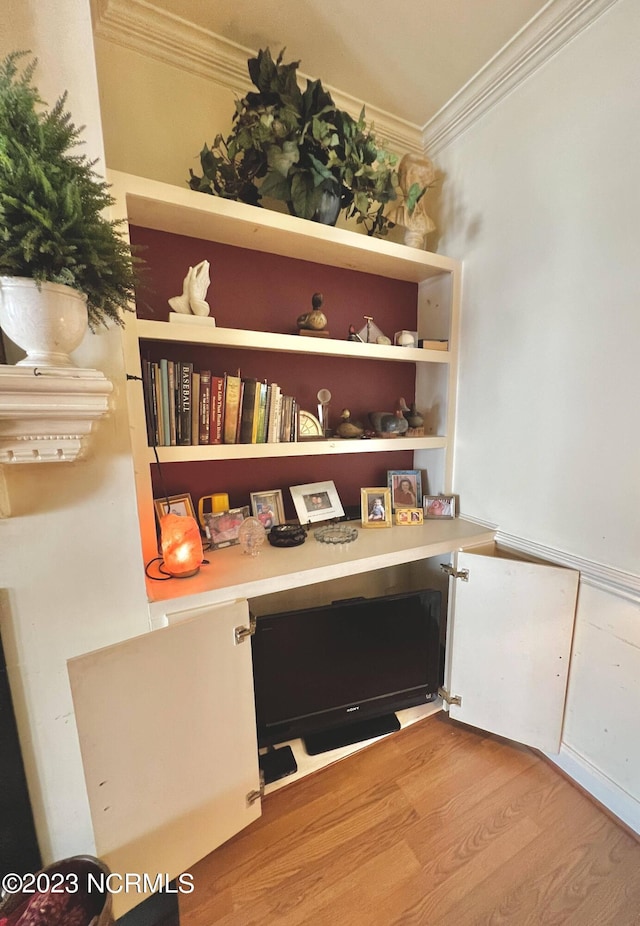 room details featuring crown molding and light wood-type flooring