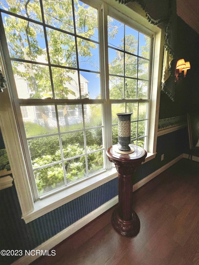 interior details featuring dark hardwood / wood-style flooring