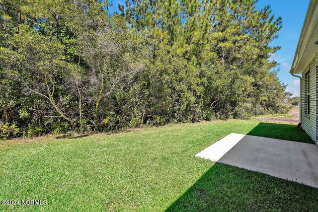 view of yard with a patio area