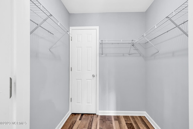 spacious closet featuring dark hardwood / wood-style floors