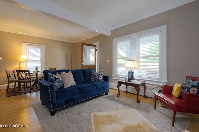 living room featuring ornamental molding, beam ceiling, light wood-type flooring, and a wealth of natural light