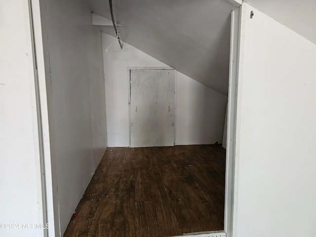 walk in closet with dark hardwood / wood-style flooring and lofted ceiling