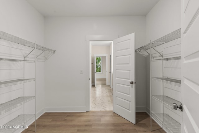 walk in closet featuring wood-type flooring