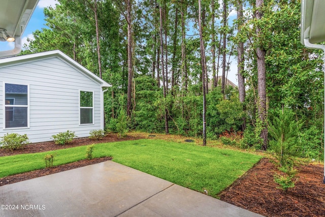 view of yard featuring a patio area