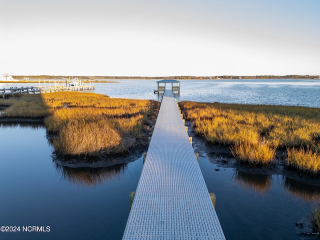 dock area with a water view