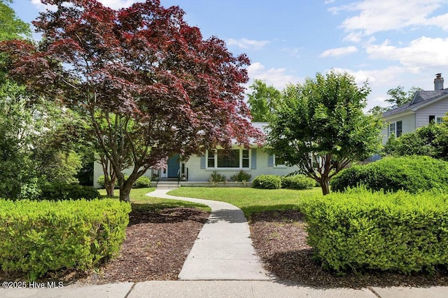 obstructed view of property featuring a front lawn