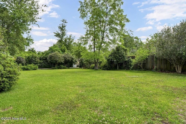 view of green lawn