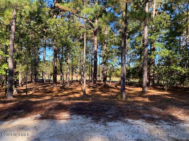 18 Kenwood Ct Unit 1609, Pinehurst, NC 28374