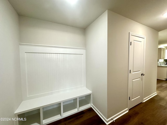 mudroom featuring dark wood-type flooring