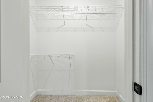 spacious closet with carpet flooring