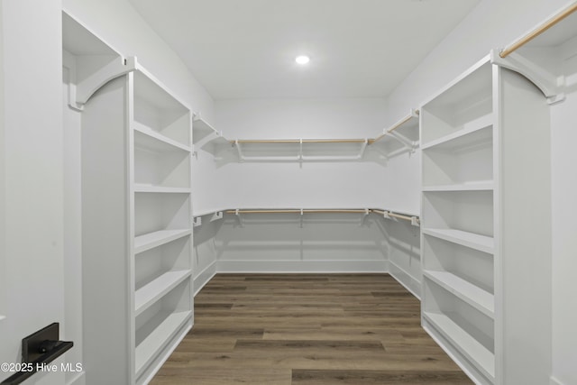 spacious closet featuring dark wood finished floors