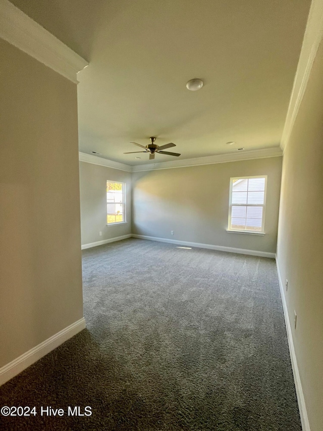 spare room featuring ceiling fan, carpet floors, and ornamental molding