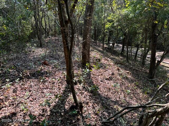 LOT9-R W Rdg, Surf City, NC 28445