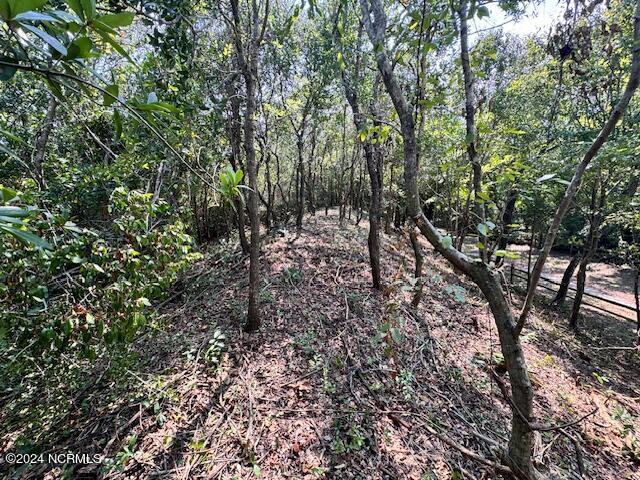 LOT9-R W Rdg, Surf City, NC 28445