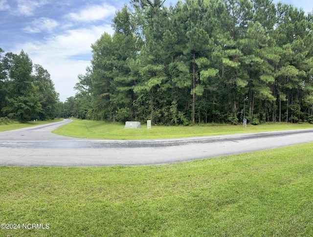 118 Herring Pond Ct, Beaufort NC, 28516 land for sale