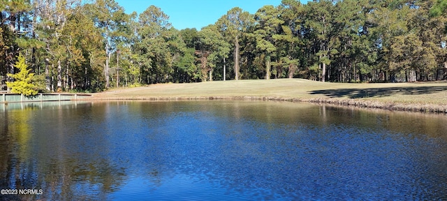 water view with a wooded view