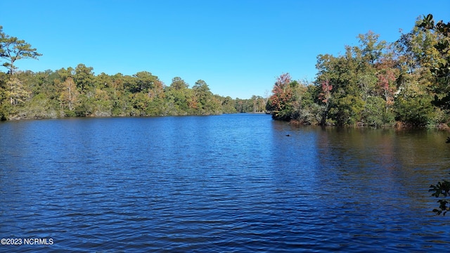 property view of water with a view of trees