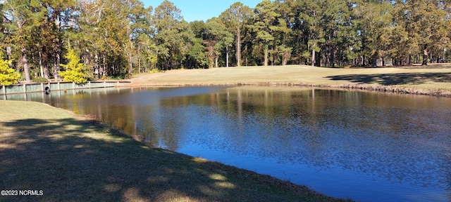 property view of water