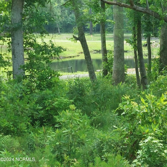 view of local wilderness featuring a water view