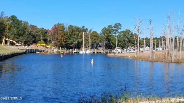 view of yard with a water view