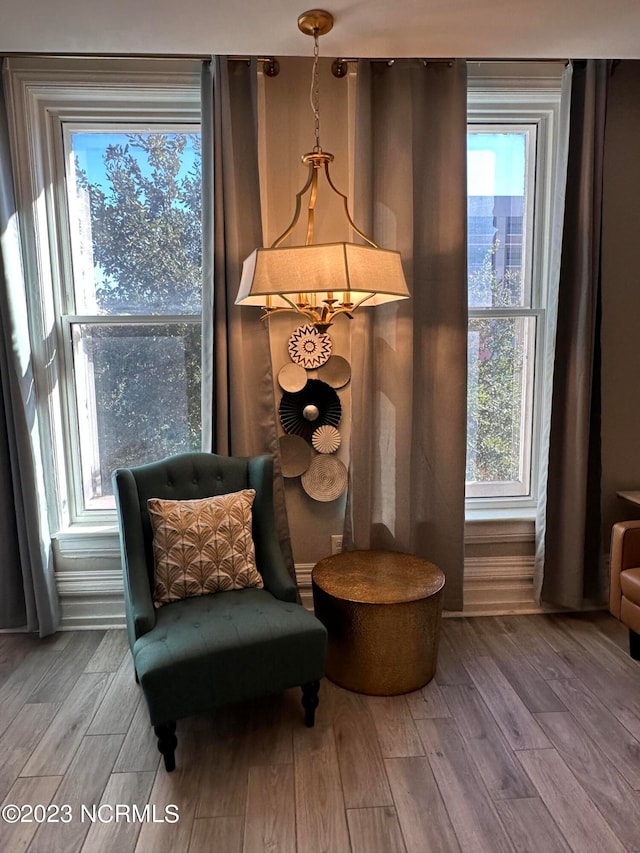 sitting room with wood-type flooring and plenty of natural light