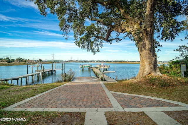 dock area with a water view