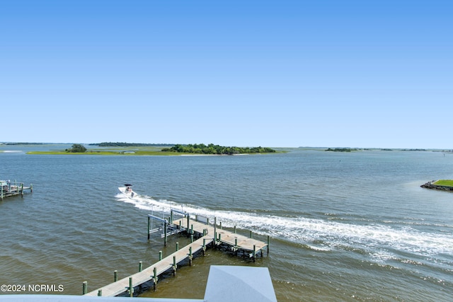 dock area with a water view